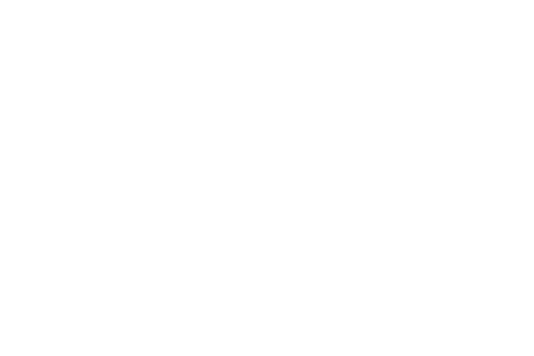 Bianchi branding