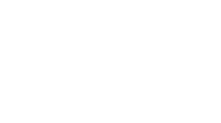 Lazer branding